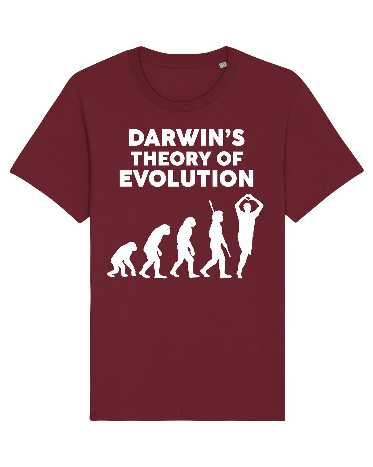 Darwin Evolution T-Shirt