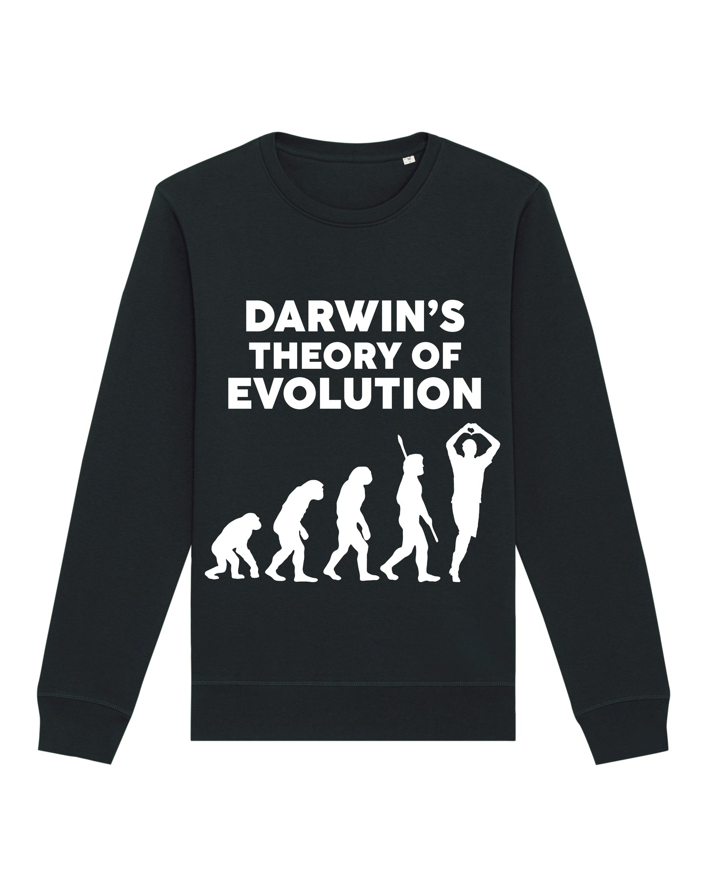 Darwin Evolution Sweatshirt