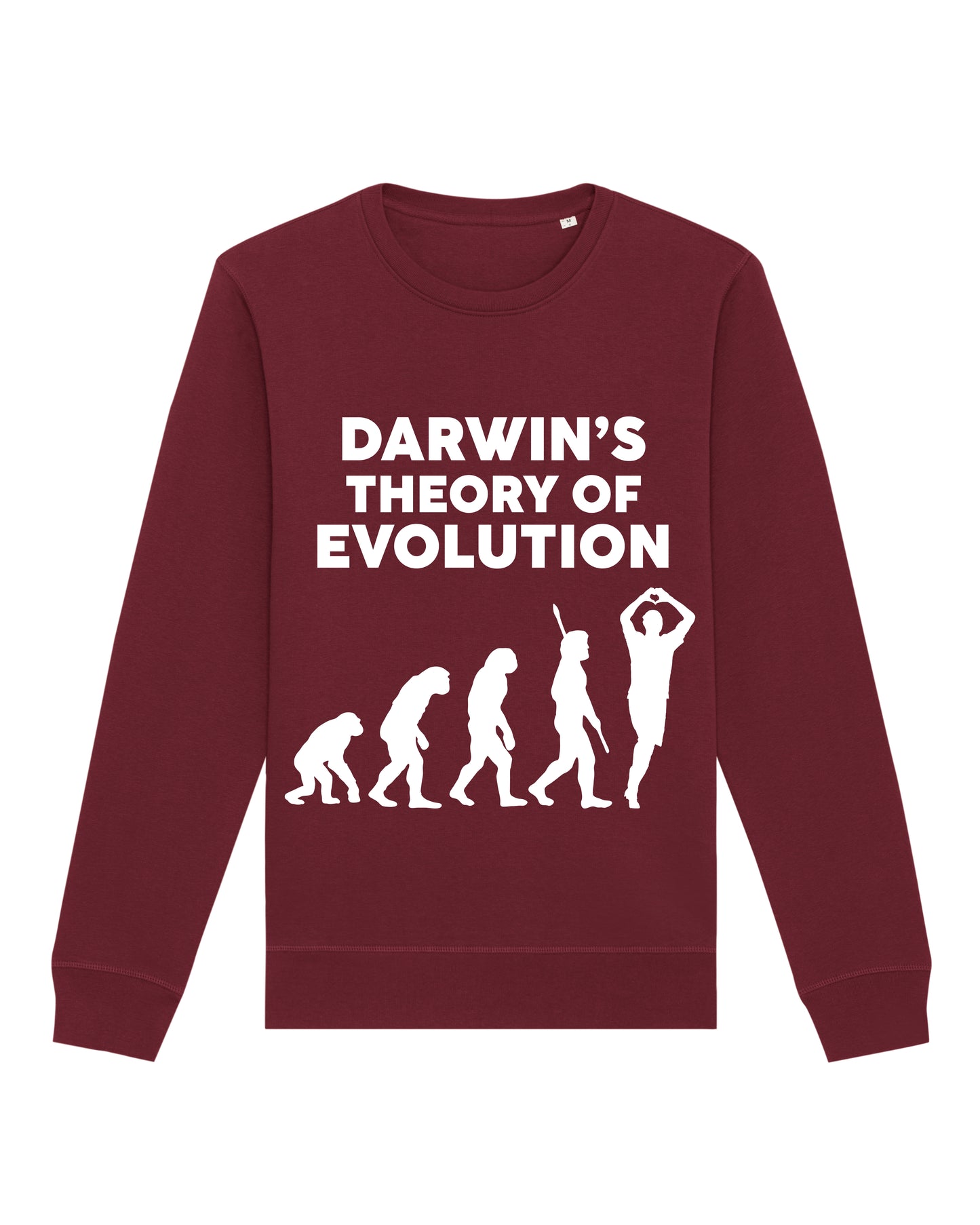 Darwin Evolution Sweatshirt