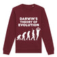 Darwin Evolution Sweatshirt
