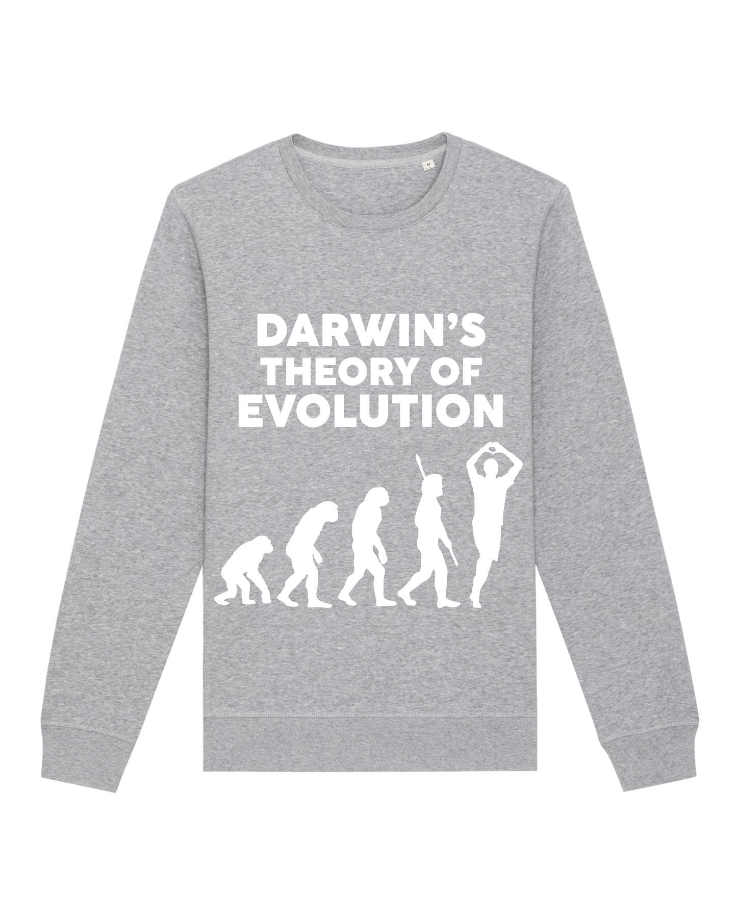 Darwin Evolution Sweatshirt